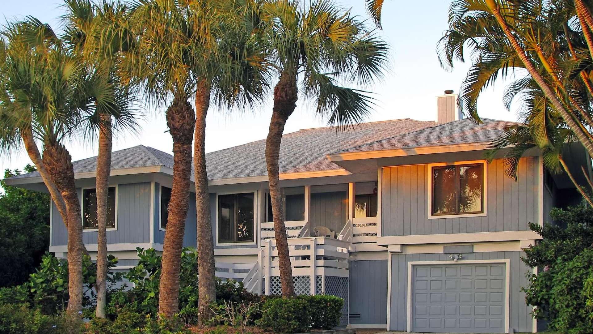 home-banner